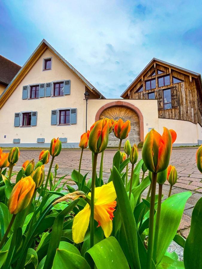 Storchenhof Teningen Exterior foto